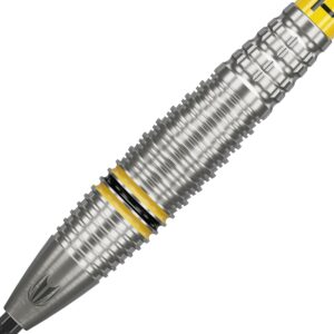 Darts Target Scott Williams G2 SP