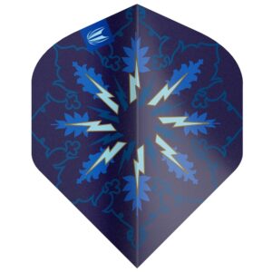 Piórka Target Phil Taylor Power Gx2 n02 338220