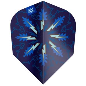 Piórka Target Phil Taylor Power Gx2 n06 338230